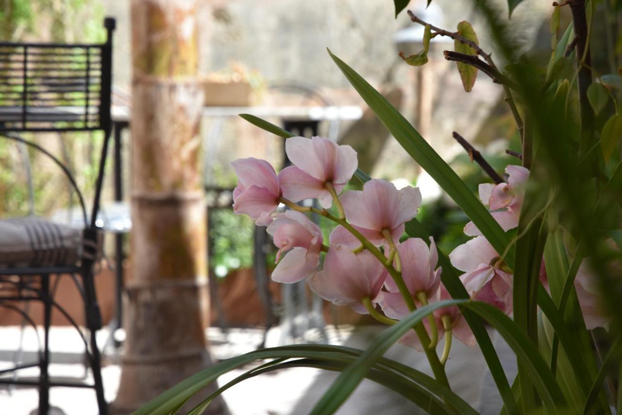 Ecocirer Healthy Stay Sóller Esterno foto