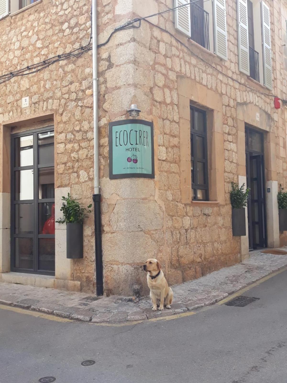Ecocirer Healthy Stay Sóller Esterno foto